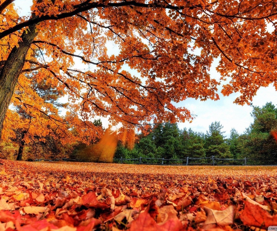 生活励志的说说,励志说说致自己简短