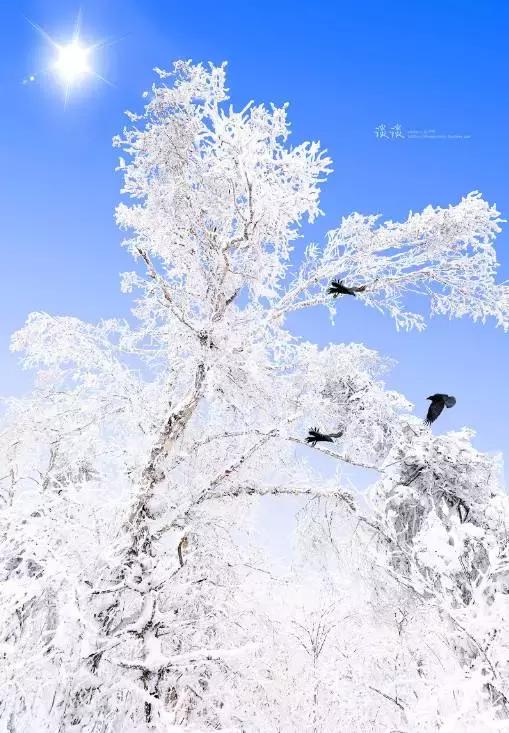 西藏五天旅游路线推荐冬日,冬天西藏3日游最佳路线