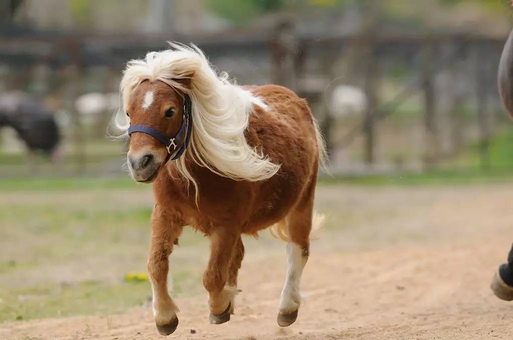 北京丰台区二人私汤温泉小院,在北京泡温泉