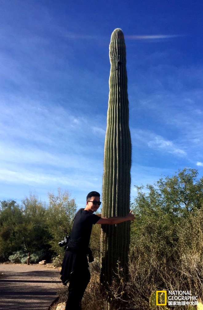 图森仙人掌,图森地理位置