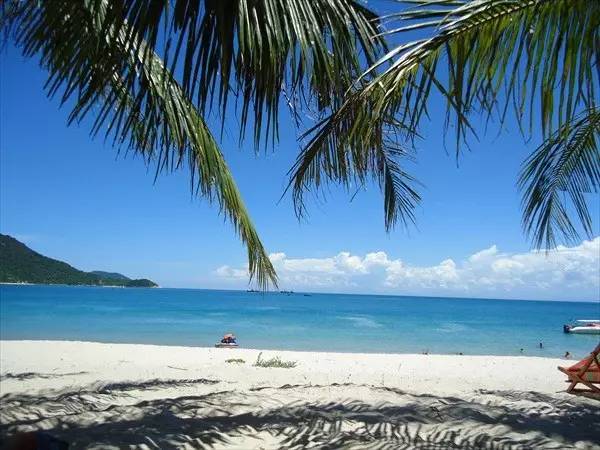 99%不知道的生活常识,99%人不知道的违法知识