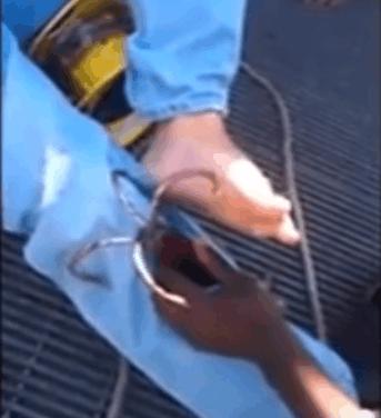 新手钓鱼怕被刺如何取钩,钓鱼钩扎到肉里怎么处理