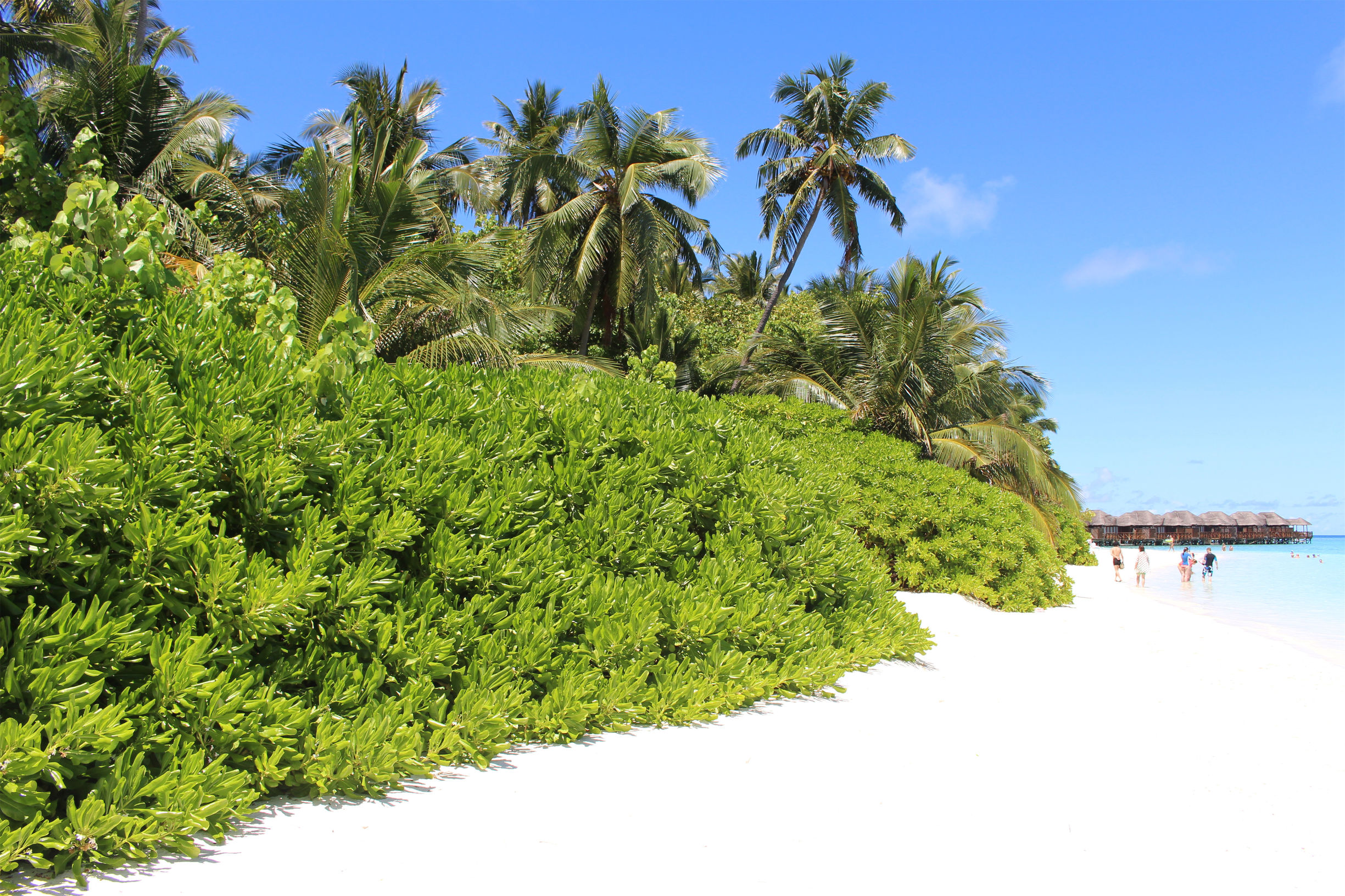 马尔代夫最美景色,最美马尔代夫风景