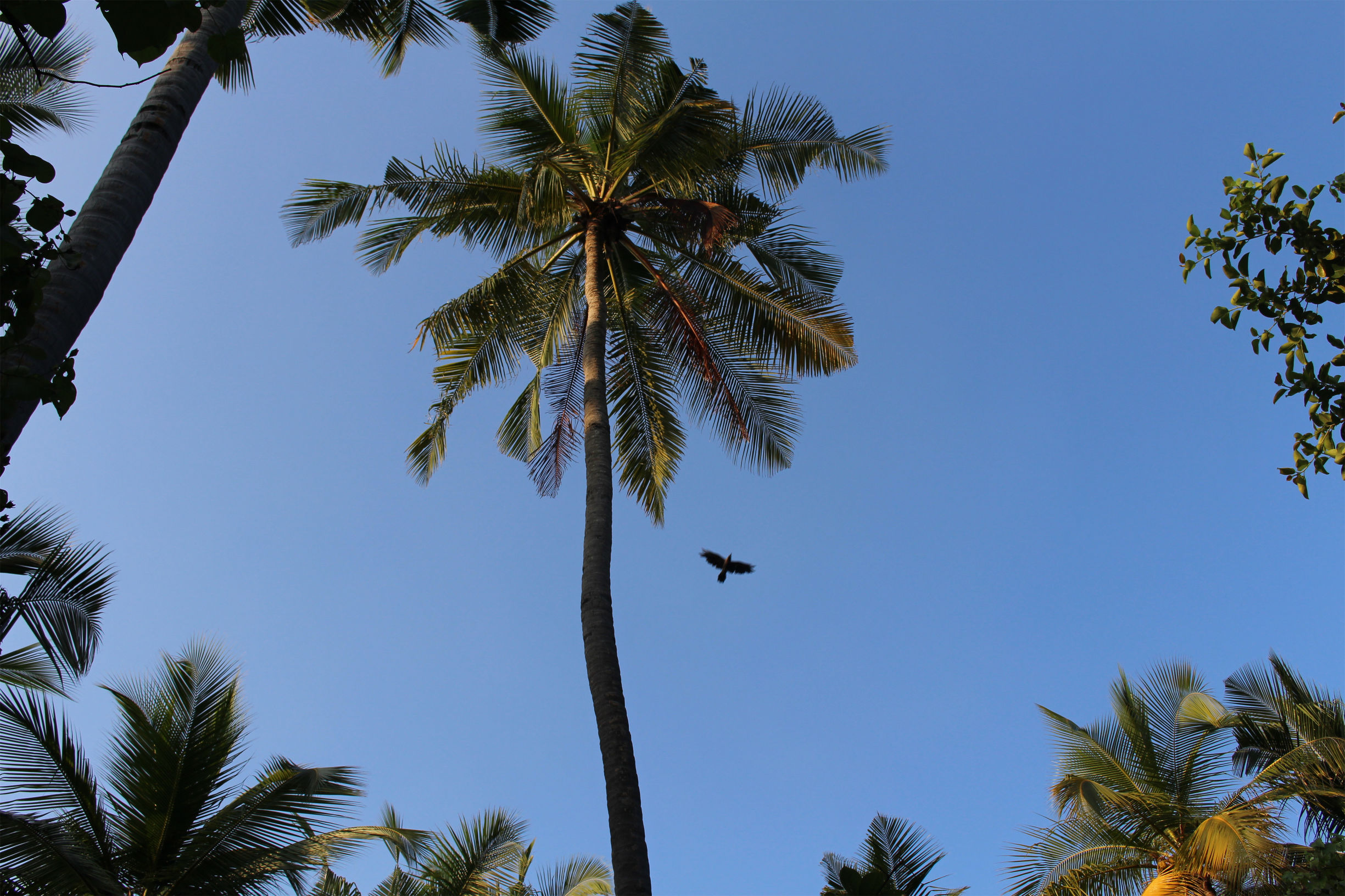 马尔代夫最美景色,最美马尔代夫风景