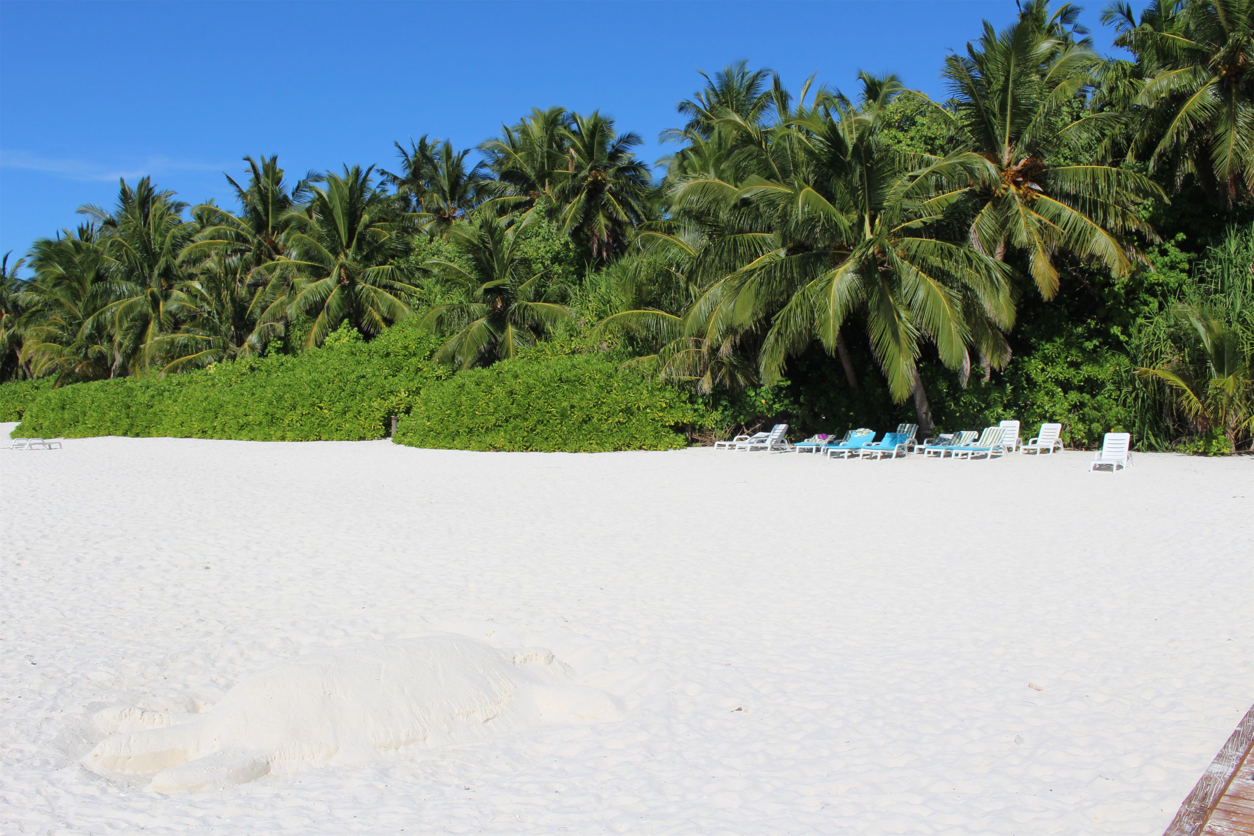 马尔代夫最美景色,最美马尔代夫风景
