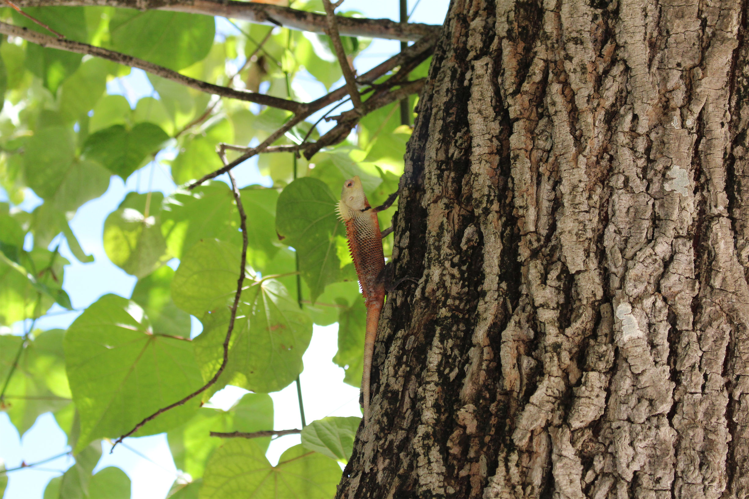马尔代夫最美景色,最美马尔代夫风景