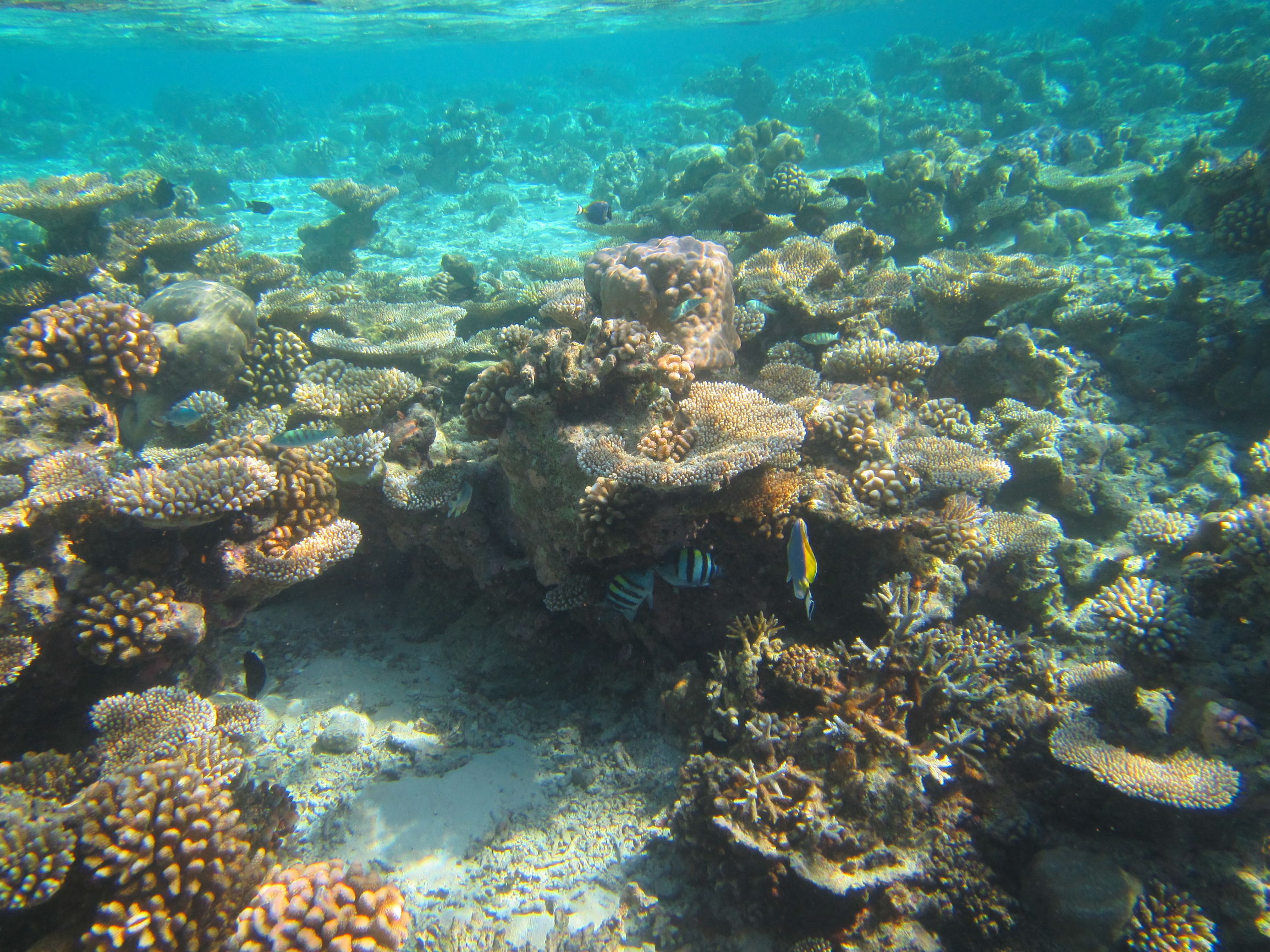 马尔代夫最美景色,最美马尔代夫风景