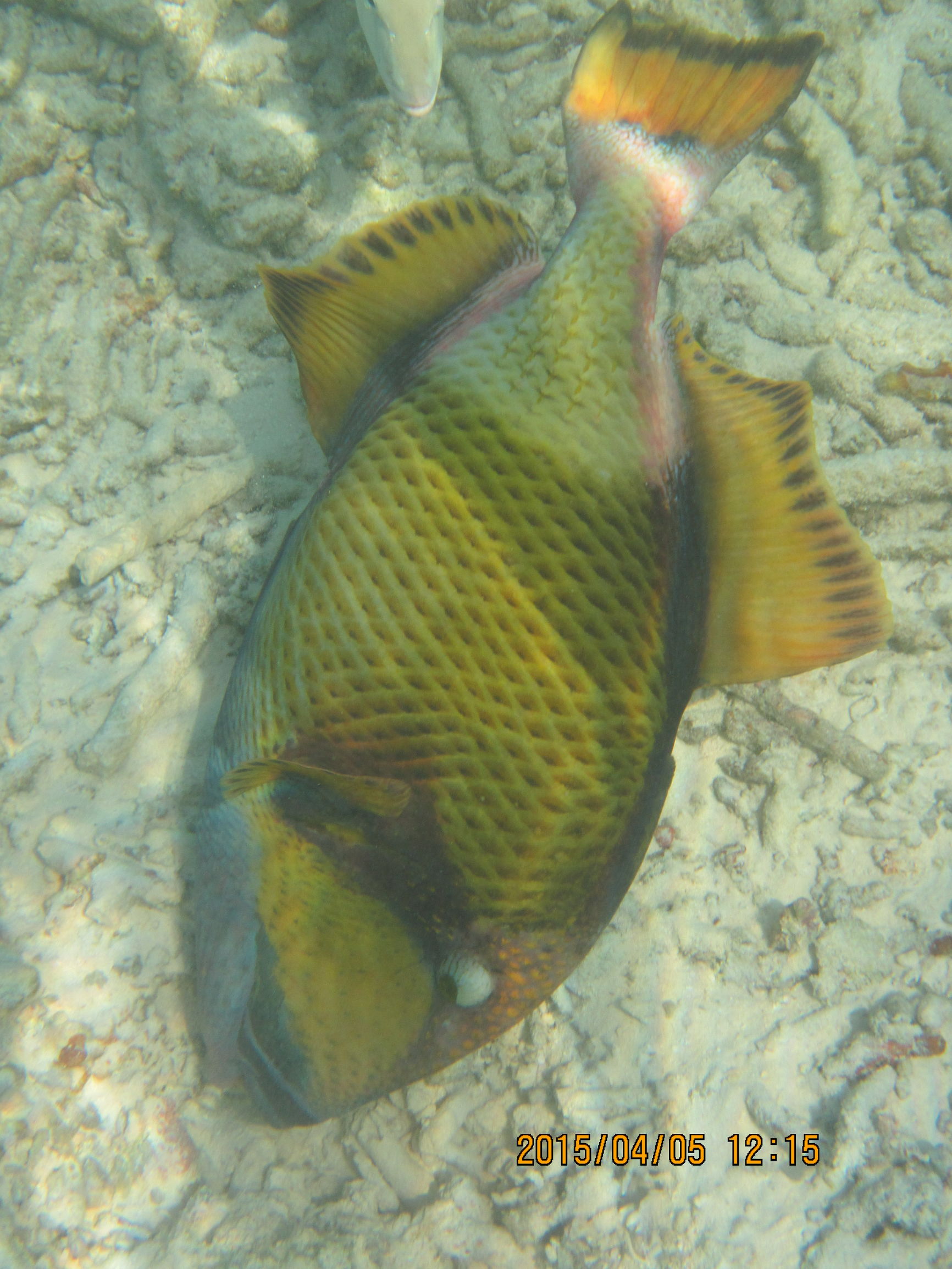 马尔代夫最美景色,最美马尔代夫风景