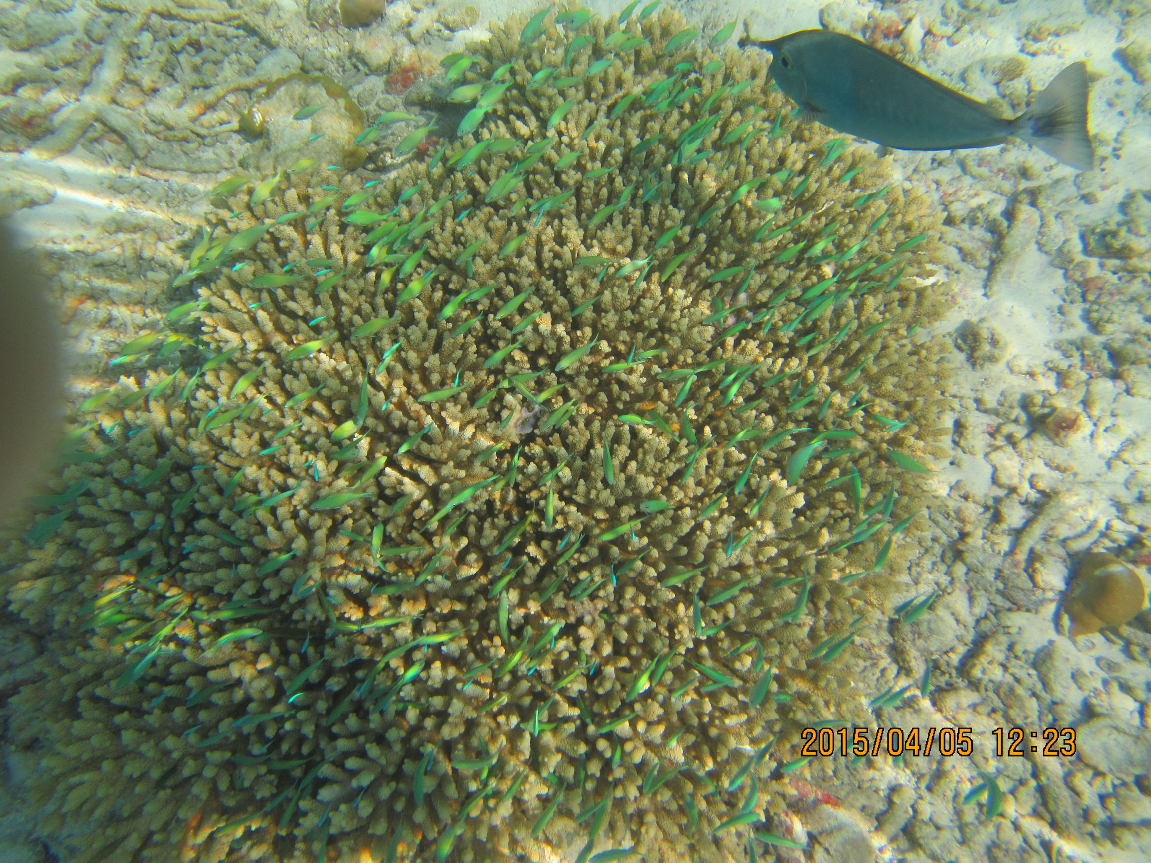 马尔代夫最美景色,最美马尔代夫风景