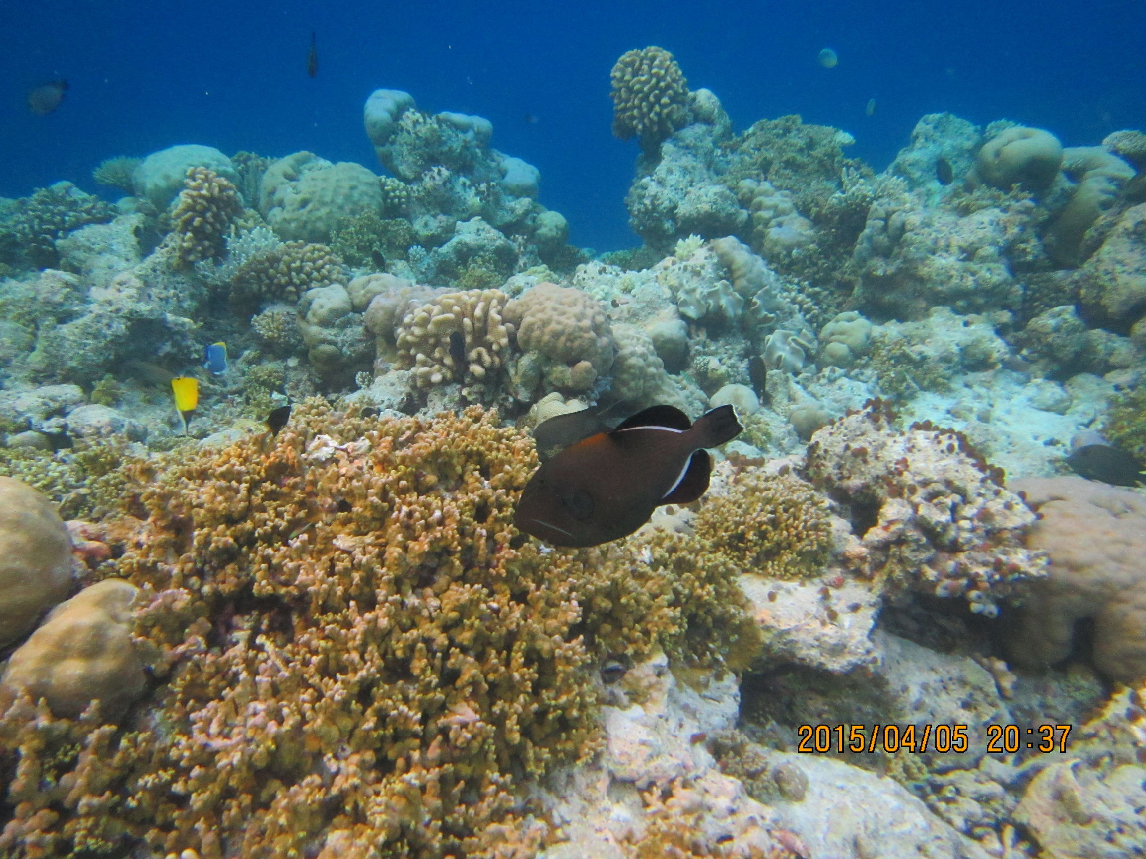 马尔代夫最美景色,最美马尔代夫风景