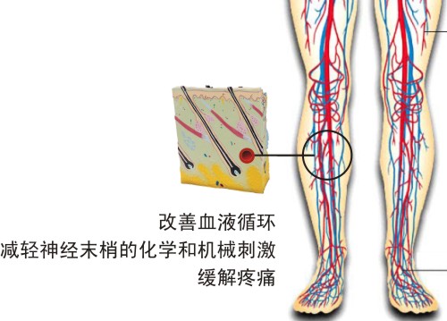 金都温泉洗浴休闲养生会所丰县,金都山庄足疗