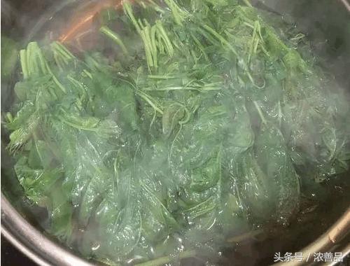 一种长在树上的野菜,营养价值名列前茅,难怪大家都爱吃!