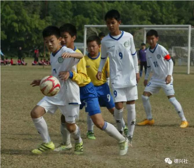 马德兴谈伊朗足球,马德兴谈青训完整视频