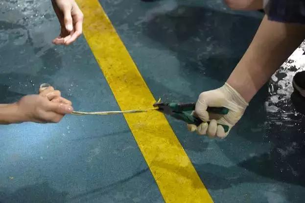 拯救瓶盖君——掏粪男孩的不眠之夜