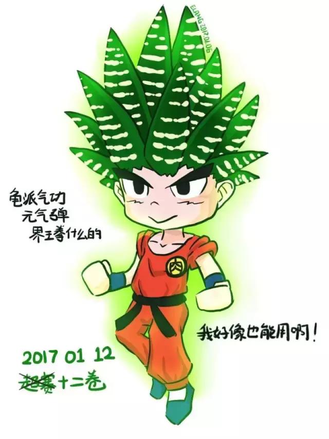 能抵御辐射的植物,最好的防辐射植物