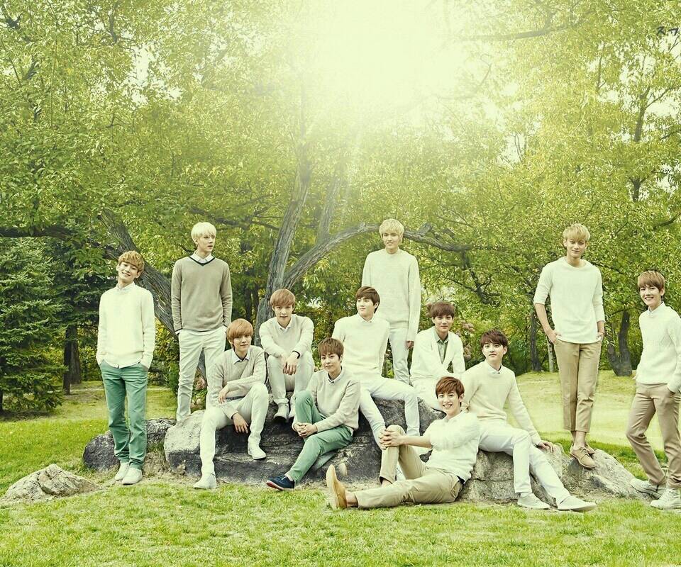 exo茶蛋是谁,exo茶蛋春晚