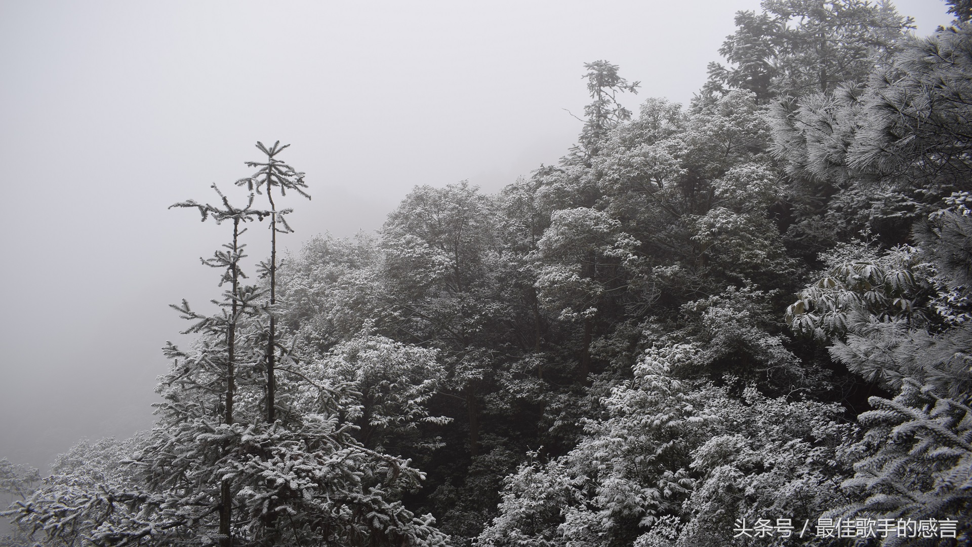 尼康d3300相机推荐新手入门,尼康d3300单反相机入门教程