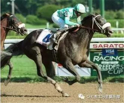 纯血马顶级种公马有哪些,顶级公马品种大全