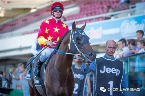 纯血马顶级种公马有哪些,顶级公马品种大全