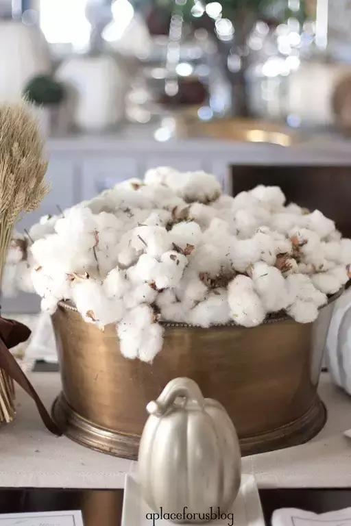 韩剧里撩妹,流行送棉花?嗨,一切都是套路!