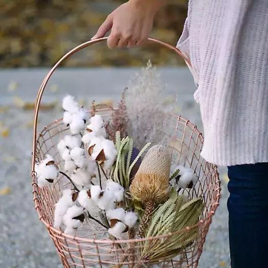 韩剧里撩妹,流行送棉花?嗨,一切都是套路!