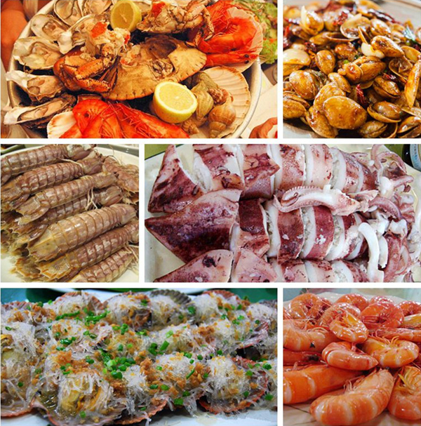 想做一只候鸟读后感,想做一只候鸟古诗