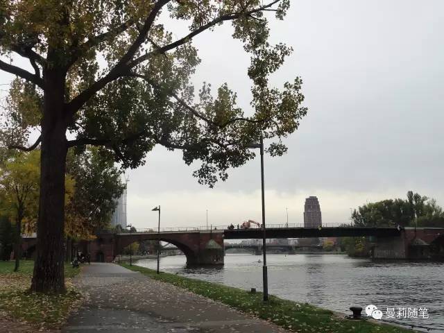 步飞鸟的小说人生若只如初见,人生若只如初见全文原著