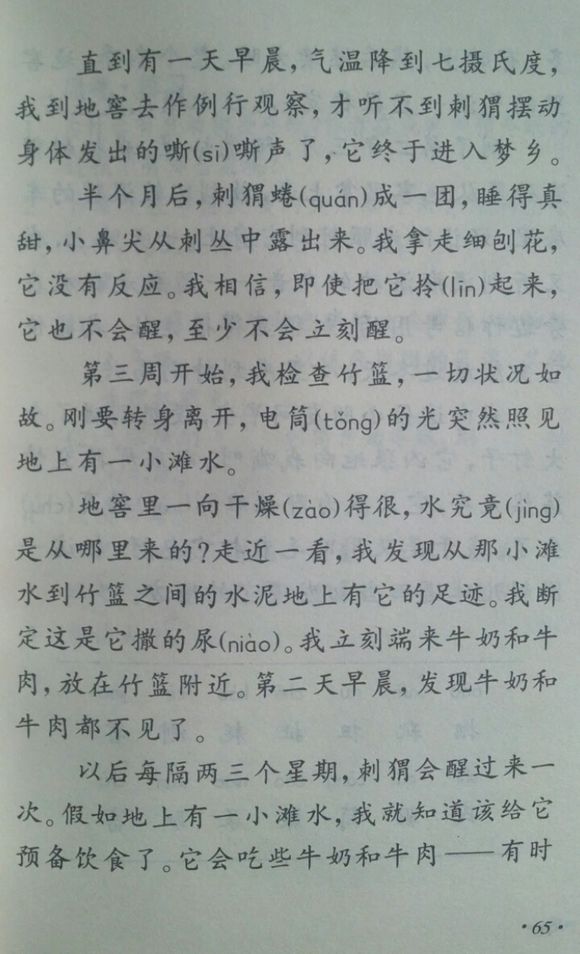 小学四年级，温暖你的童年记忆，老课本的温馨