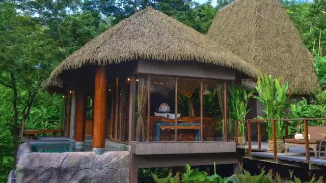 楦熷发搴﹀亣閰掑簵浣撻獙,闅愯棌鍦ㄥ師濮嬫．鏋楃殑娴峰崡楦熷发閰掑簵