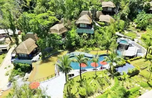 楦熷发搴﹀亣閰掑簵浣撻獙,闅愯棌鍦ㄥ師濮嬫．鏋楃殑娴峰崡楦熷发閰掑簵