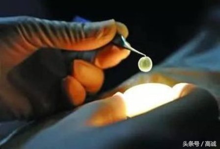 尊严与钱的关系,崇高和高尚的区别