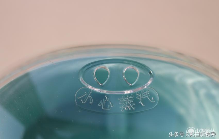 生活元素h1炖盅内胆,生活元素电煮锅测评