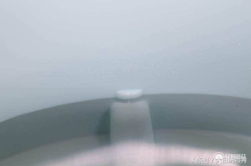 生活元素h1炖盅内胆,生活元素电煮锅测评