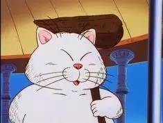 七龙珠人物名字含义,七龙珠全部人物图片和名字