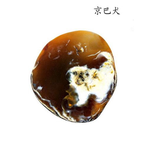 你知道为什么奇石长得像方角石呢,这18块奇石可以称为顶级奇石