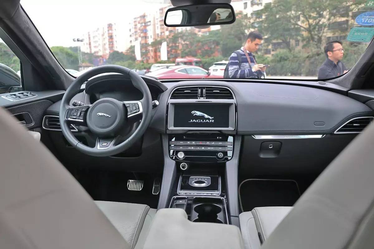 家宠美洲虎,人工饲养的美洲虎