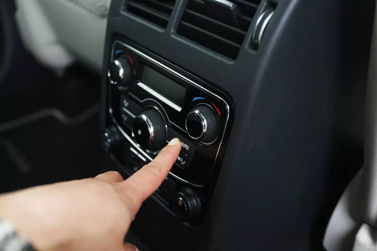 家宠美洲虎,人工饲养的美洲虎