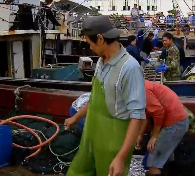 科普鱼虾蟹,海南鲳鱼种类大全