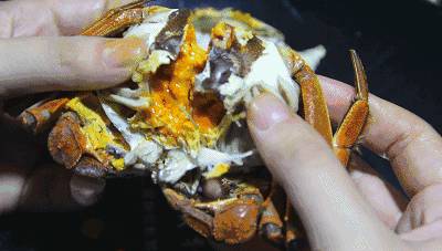 你都吃过的奇葩美食,你都吃过几种菜