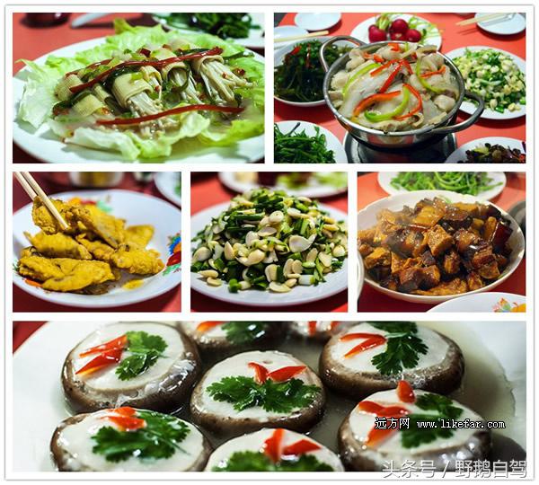 北京郊区房山蒲洼自驾游,房山野鹅旅游攻略