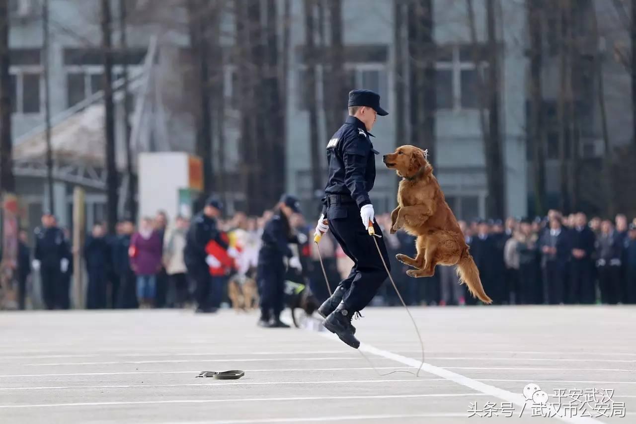 浜哄湪姹熸箹鐪熷疄闀栧眬瑙嗛,浜哄湪闀栧眬