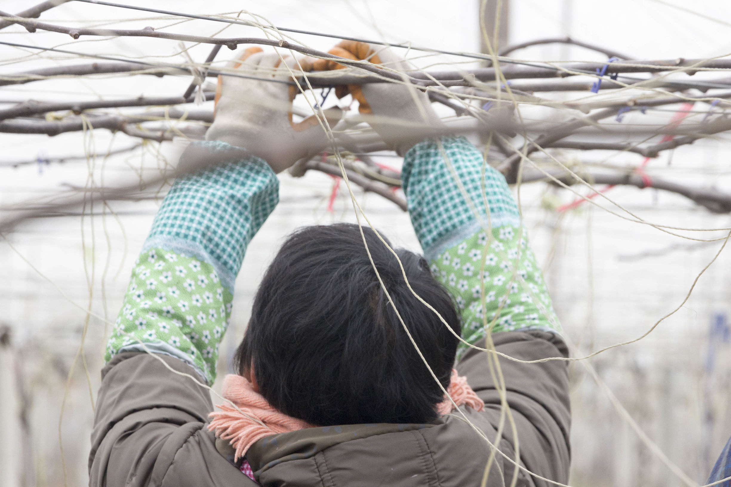 外出务工农民可以享受土地承包吗,农民承包土地获得劳动报酬