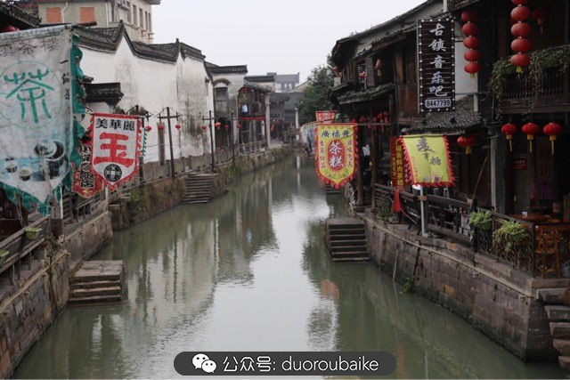回忆之旅最适合带的植物,野外旅游必须记住的植物