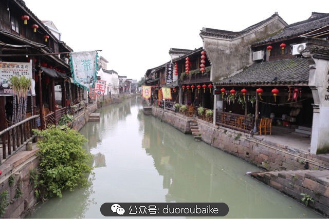 回忆之旅最适合带的植物,野外旅游必须记住的植物