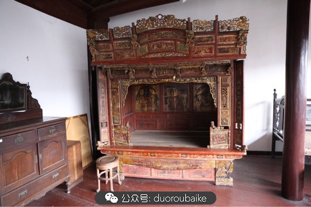 回忆之旅最适合带的植物,野外旅游必须记住的植物