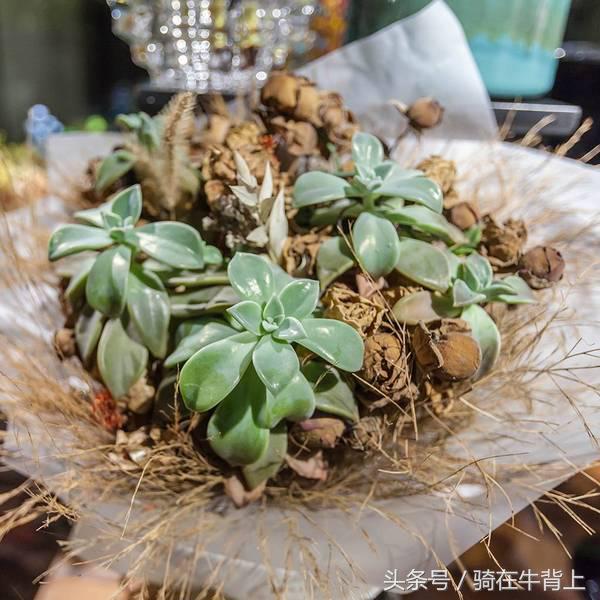 乾隆六下江南去的是哪些地方,徐志摩家乡旅游攻略