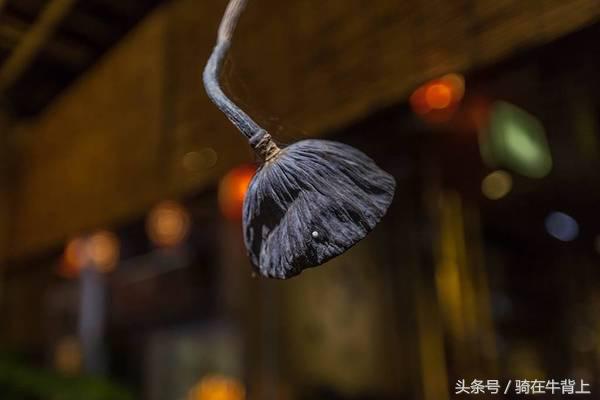 乾隆六下江南去的是哪些地方,徐志摩家乡旅游攻略