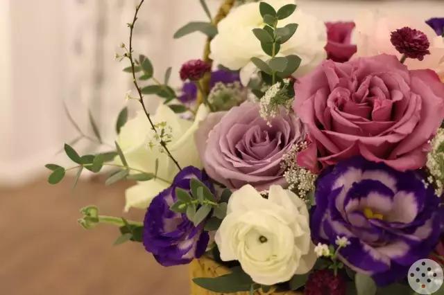 世界这么吵，90后的她却在花的世界里把文艺过成了生活！