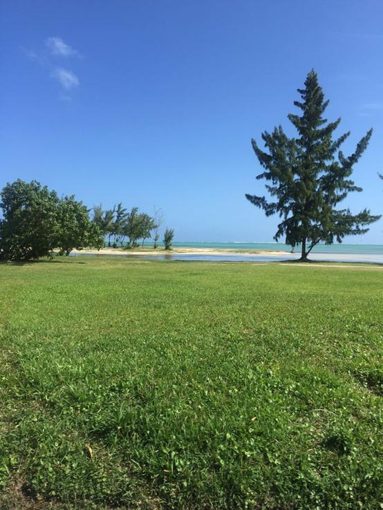 毛里求斯浪漫之旅,毛里求斯度蜜月