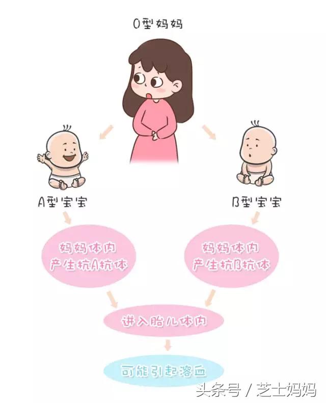 中国式骗局完整版听书,中国式骗局告诉我们什么道理